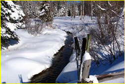 protection du lac St-Joseph &agrave; St-Adolphe d&rsquo;Howard